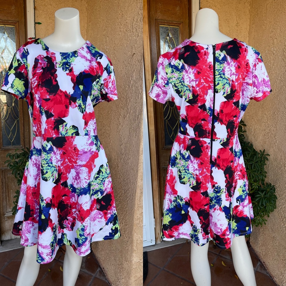 Milly for Design Nation Floral Cocktail Dress (Size 12)